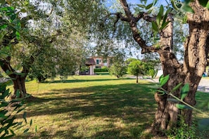 Property grounds - Nonna Bianca, a Genuine Farmhouse in Sant'Alessio, Lucca (Lucca)