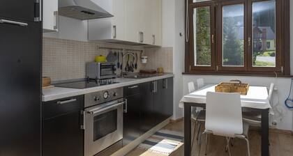 Cave del Predil Lovely Apartments