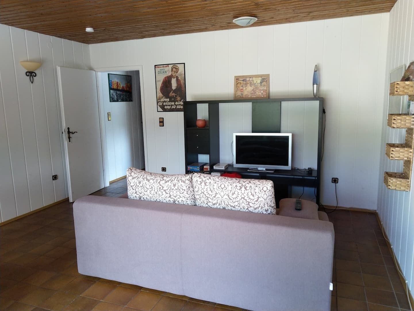 Älytelevisio, videopelejä, kirjoja