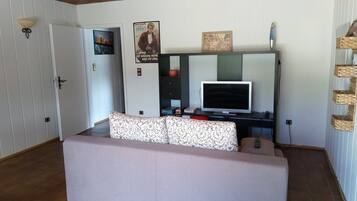 Älytelevisio, videopelejä, kirjoja