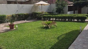 Un patio bien cuidado con un césped impecable, una planta en maceta y un camino empedrado.
