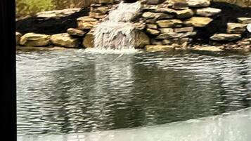 Vista da propriedade