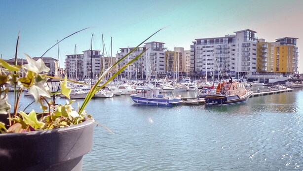 A marina with multiple boats docked, surrounded by residential buildings.