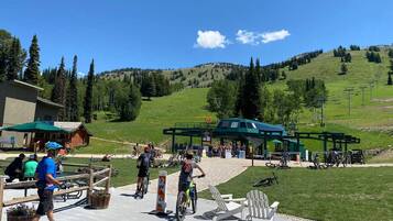 Área da propriedade