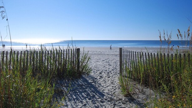 Une plage de sable bordée d’une clôture en bois, avec de hautes herbes au premier plan.