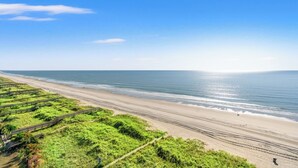Ein Strand mit blauem Himmel, sandigem Ufer und einer Rasenfläche mit Wegen.