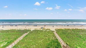 Ein Strand mit blauem Himmel, sandigem Ufer und einer Wiese mit Zaun.
