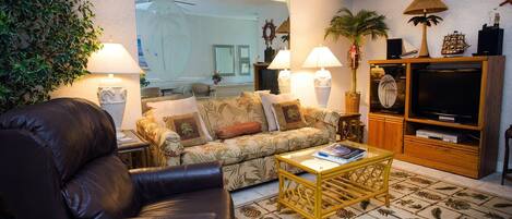 Televisión, reproductor de DVD