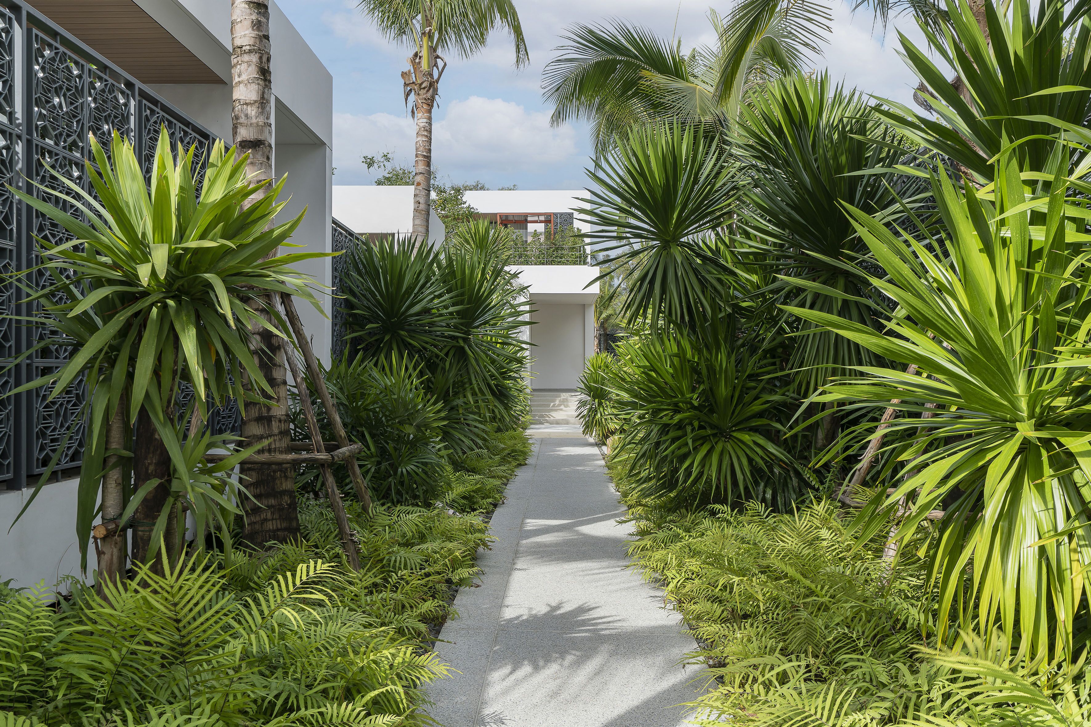 Un sendero bordeado por exuberante vegetación tropical que conduce a un edificio moderno con fachada blanca y una valla metálica decorativa.