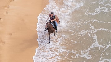 A beach with a horse and rider walking along the shoreline.