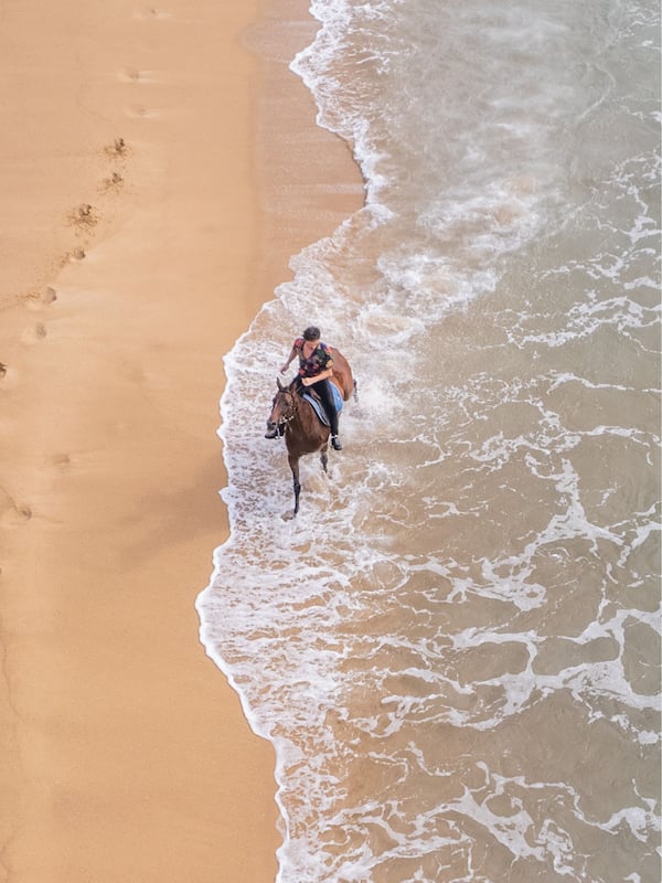 Horse riding