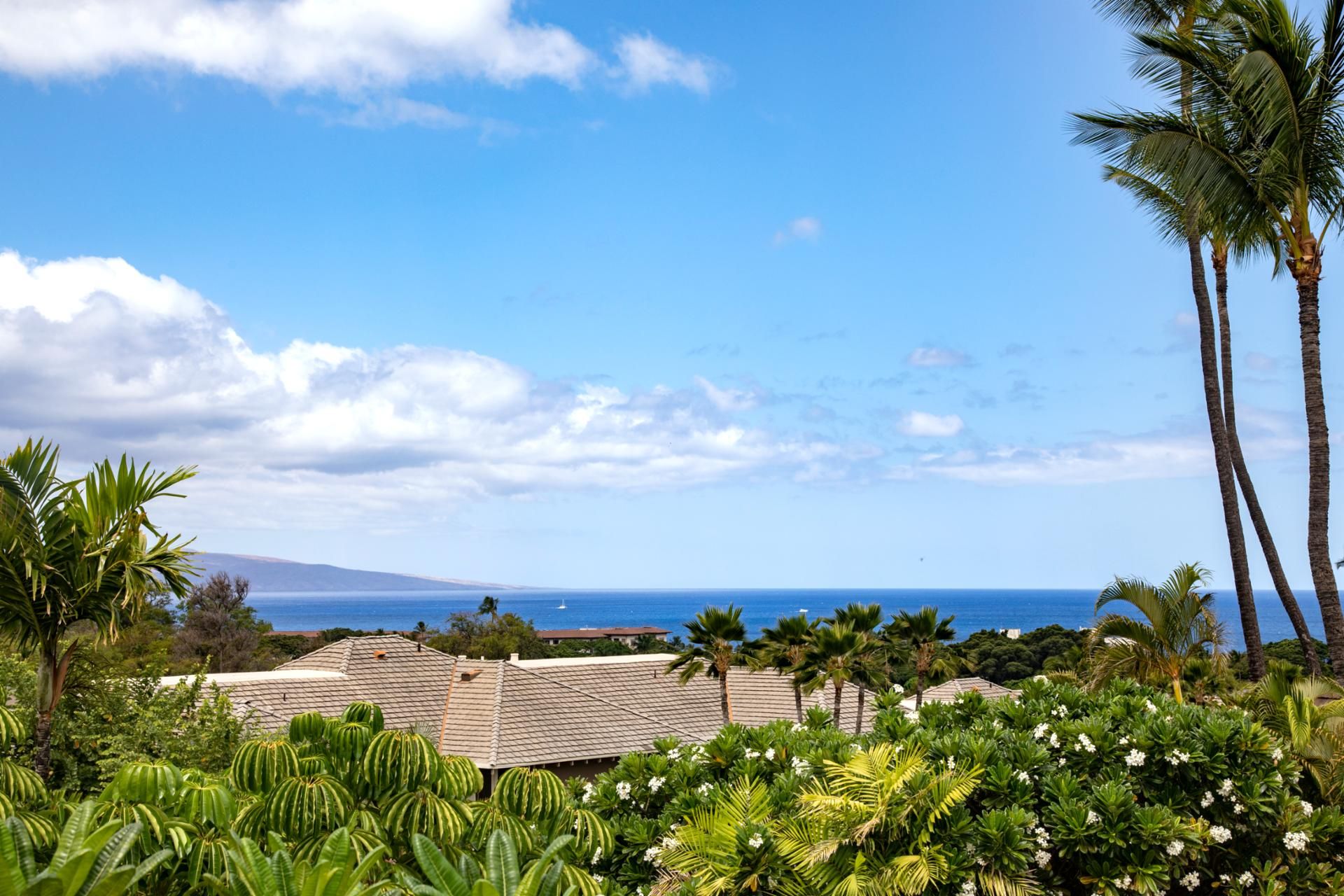 A tropical resort with a view of the ocean and a mountain in the distance.