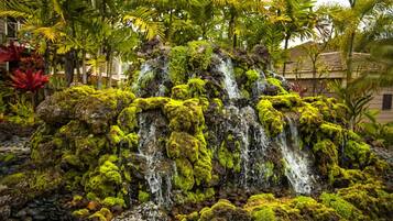 A waterfall with moss-covered rocks, surrounded by tropical plants and palm trees.
