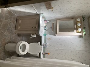 Ensemble baignoire-douche, serviettes fournies, papier de toilette