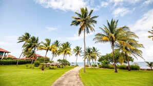 A pathway lined with palm trees leading to a beach, with a building in the background. - Tropic Lagoon loft, by the lagoon ! (Le François)