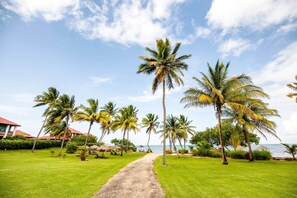 Property grounds - Tropic Lagoon loft, by the lagoon ! (Le François)
