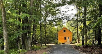 Newly built Cabin in the woods on a 5 acres of land