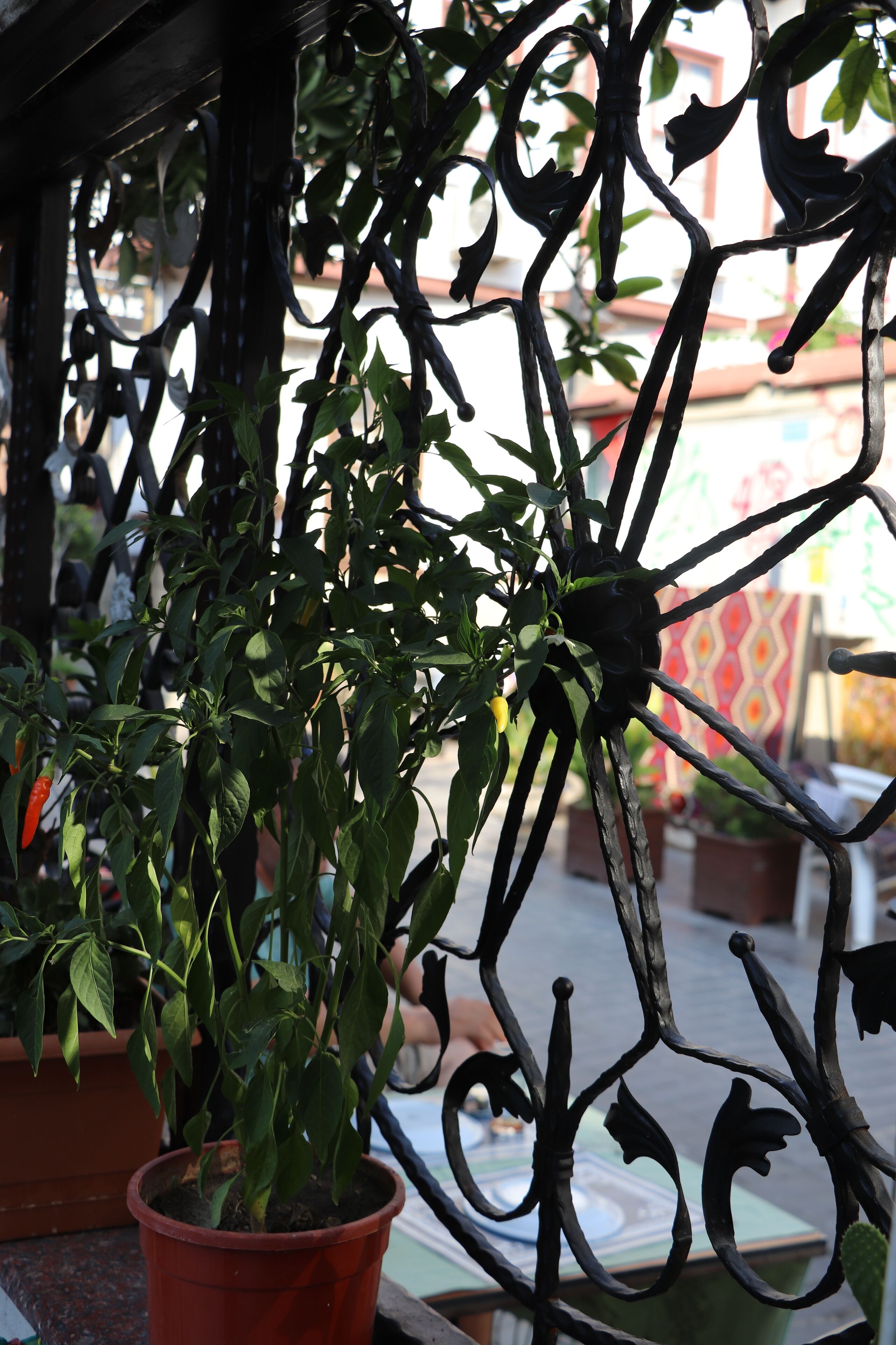 Foto - Tu Casa Linda