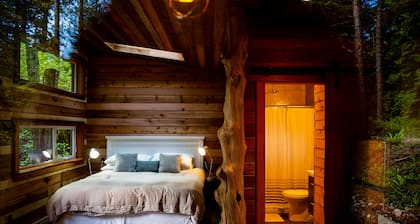#2 CABIN COUPLES KING BED HOTTUB BEACH