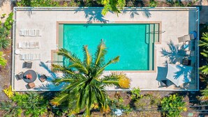 An aerial view of a rectangular swimming pool with a clear blue water surface, surrounded by lounge chairs and a palm tree.