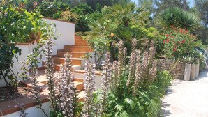 A garden with a stone wall, steps, and various plants.