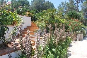 Áreas de la propiedad