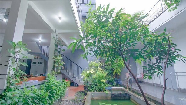 A modern indoor garden with a water feature, a staircase, and a variety of plants.
