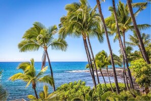 On the beach, sun-loungers, beach towels