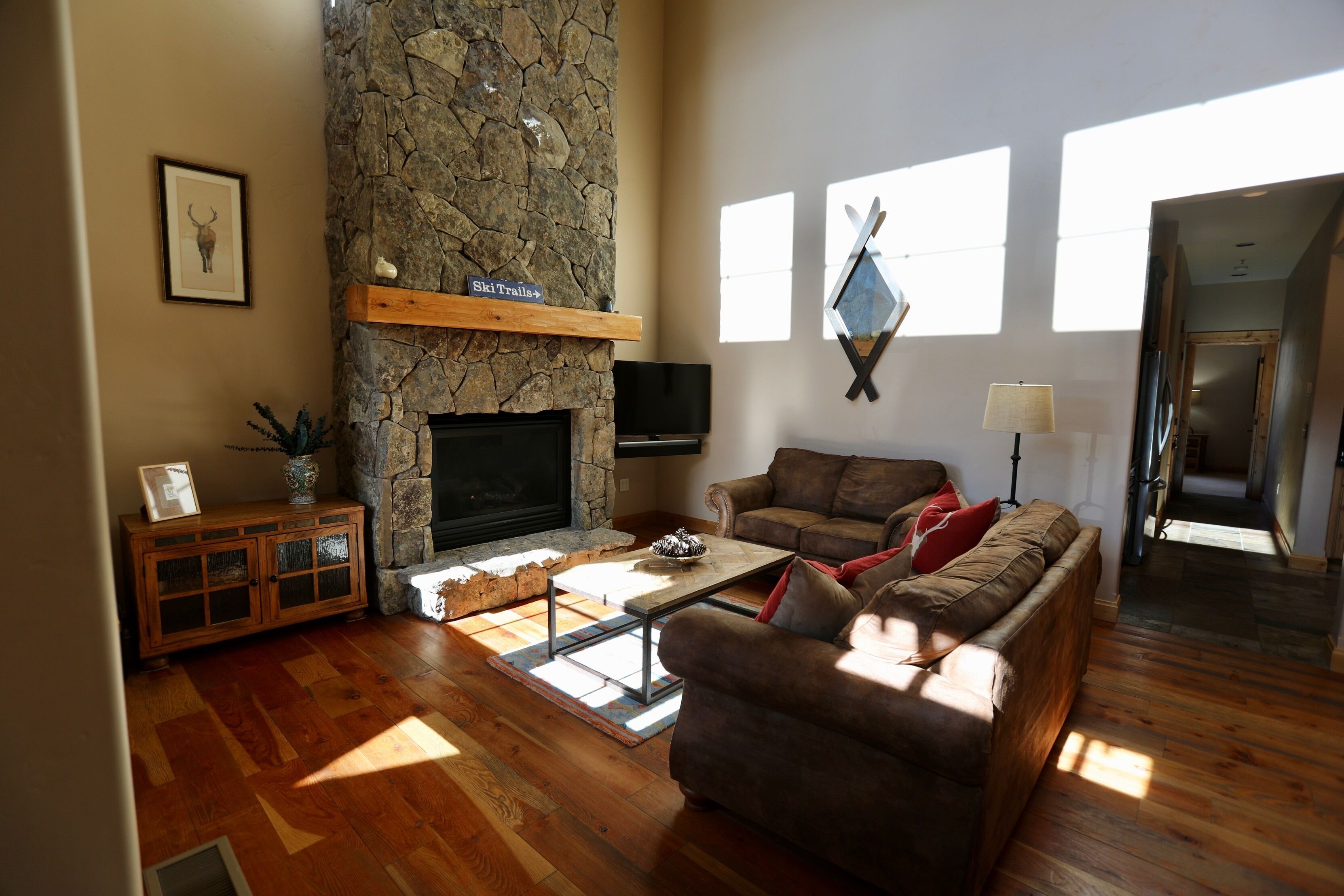 Smart TV, fireplace, books, music library