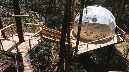Turtle Dome Treehouse: part of the dome town village!