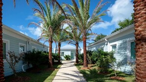 A pathway flanked by palm trees leading to a row of white buildings with green shutters. - New Caribbean home.  Resort access to pool (Islamorada)