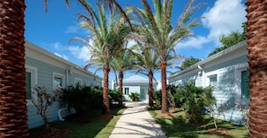 A pathway flanked by palm trees leading to a row of white buildings with green shutters.