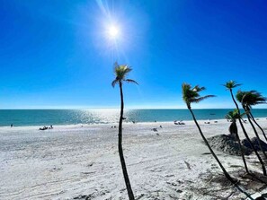 A beach with palm trees and the ocean.