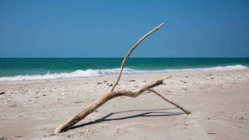 Beach nearby, sun loungers