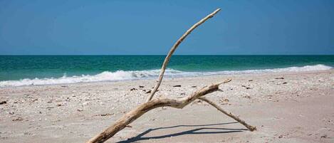 Beach nearby, sun loungers