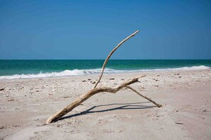 Une plage avec un seul morceau de bois flotté sur le sable.