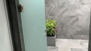 Un intérieur moderne avec une porte de couleur turquoise, des murs en pierre grise et une plante en pot.