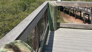 A wooden deck with a metal railing overlooking a coastal area with dense vegetation and a clear sky.