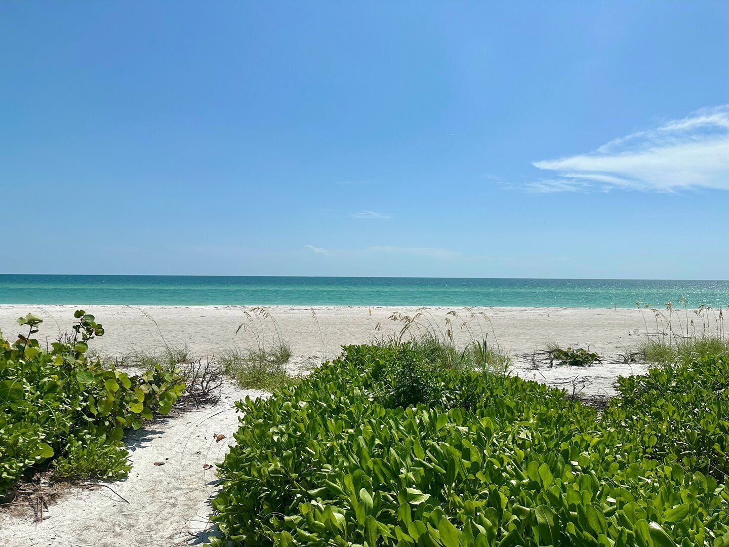 Playa en los alrededores, camastros y toallas de playa 