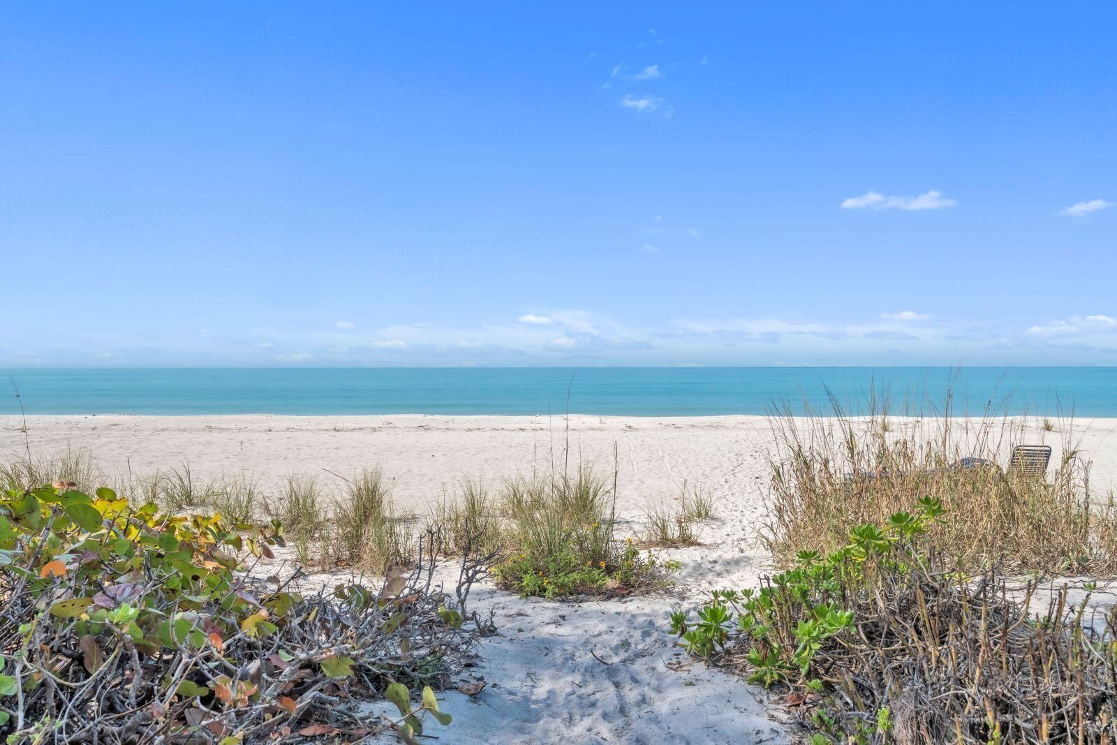 Una playa con vista despejada al océano, un sendero arenoso y algo de vegetación al frente.