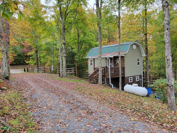 A rustic cabin with a green roof, surrounded by a gravel driveway and dense forest.