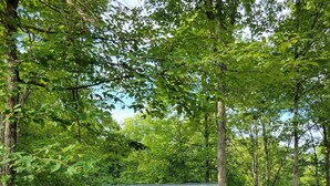 Een chalet met een veranda, omgeven door bomen.