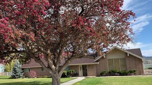 Una casa residencial con un césped cuidado, un camino de entrada y un gran árbol con flores rosadas al frente.