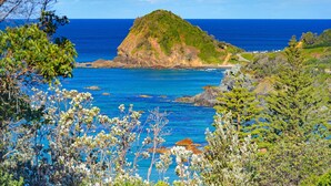 A coastal landscape with a prominent hill, clear blue sea, and lush vegetation. - Flynn's Beach Escape ! (Port Macquarie)