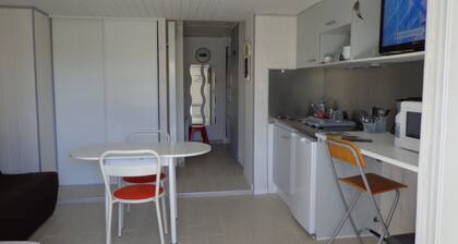 Studio 20 m² garden level