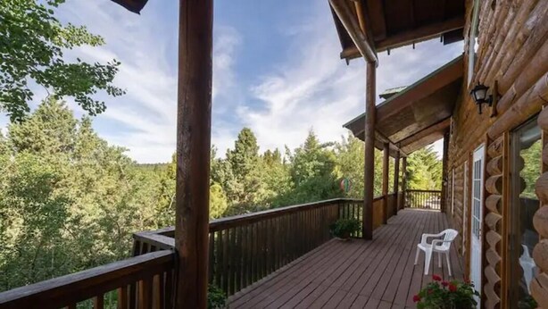 A wooden deck with a railing, a potted plant, and a white chair.