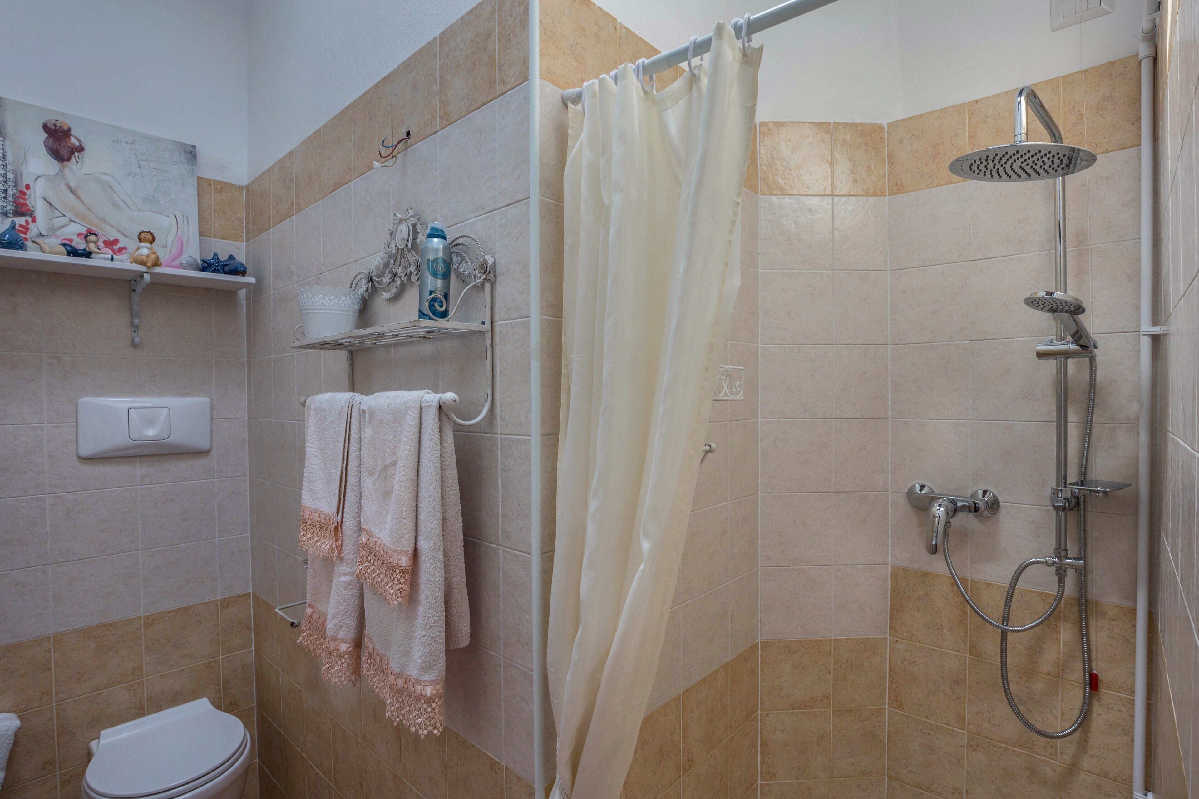 Ducha, secador de pelo, toallas