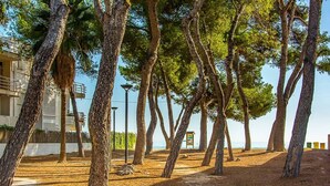A pathway lined with tall trees, a building with balconies, and a clear view of the sea.