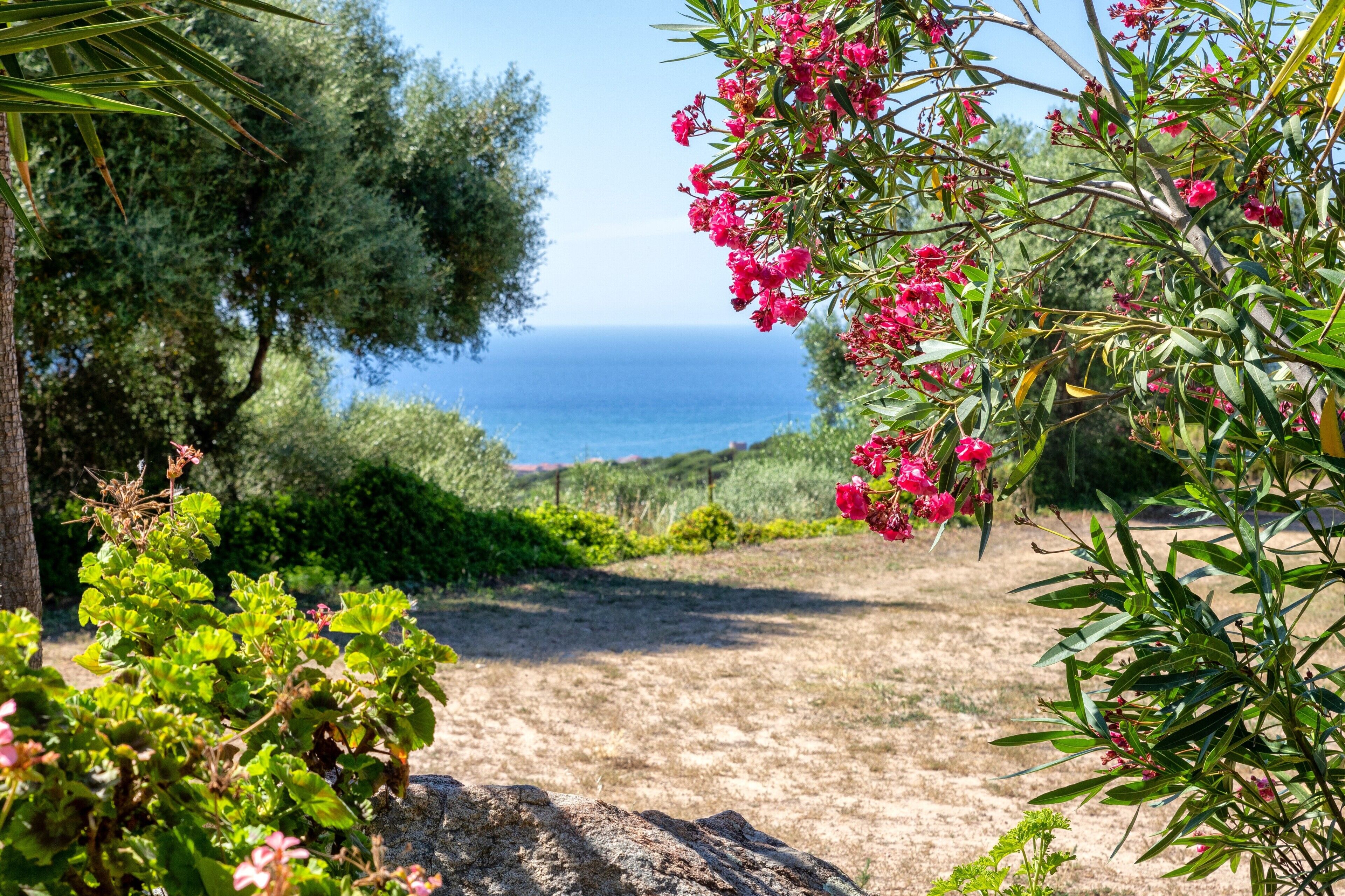 Áreas de la propiedad