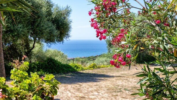 A garden path leading to a view of the sea, surrounded by greenery and flowering plants.